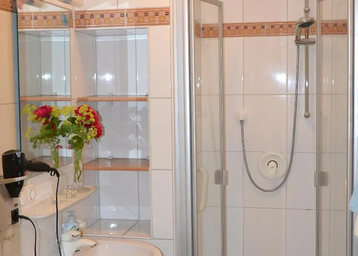 Schiller باد فسينغ